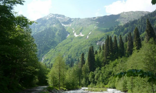 Альпийские луга пик г Мамдзышха отзывы
