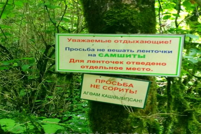 Черниговка и Сухум 26
